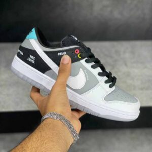 نایک اس بی دانک لو کامکوردر Nike SB Dunk Low Camcorder